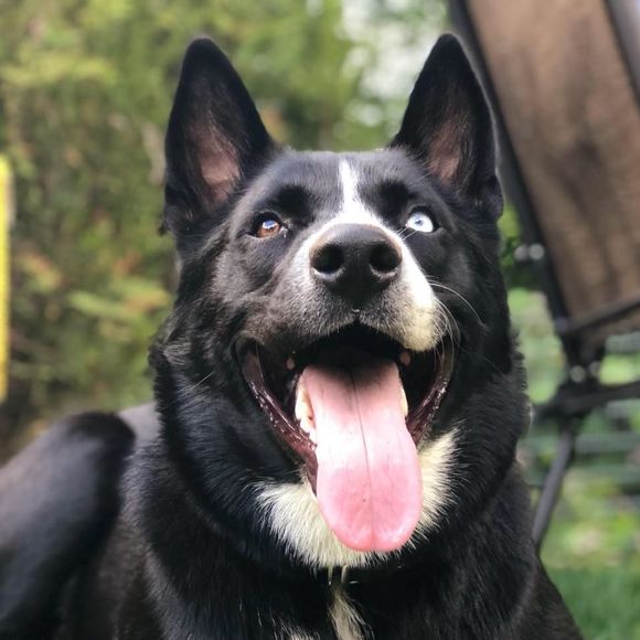 Meet your Posher, Renee - Picture 1 of 1